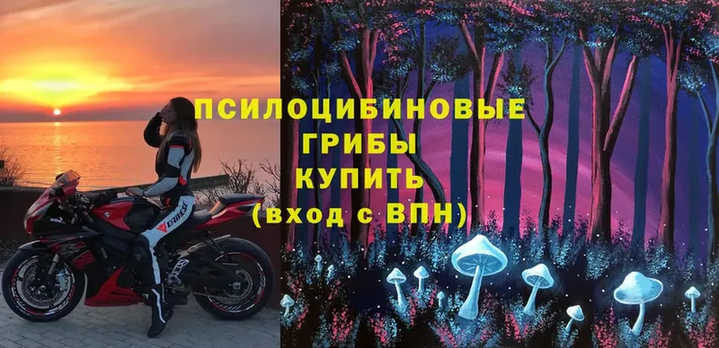 Псилоцибиновые грибы Magic Shrooms  закладка  Руза 